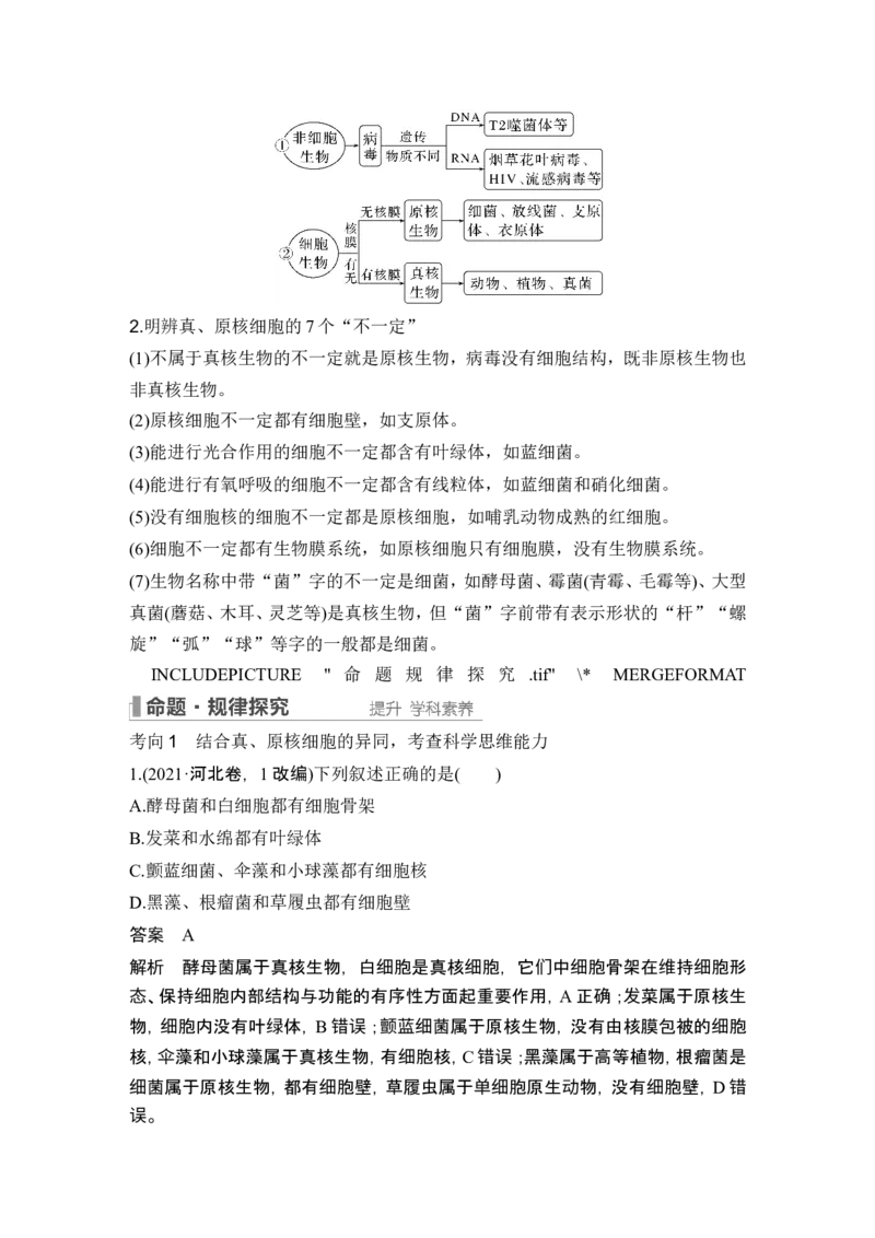 第1讲借助显微镜走近细胞_2024年新高考资料_1.2024一轮复习_2024年高考生物一轮复习讲义（新人教版）_另附1套Word版题库_必修1_第一单元组成细胞的分子