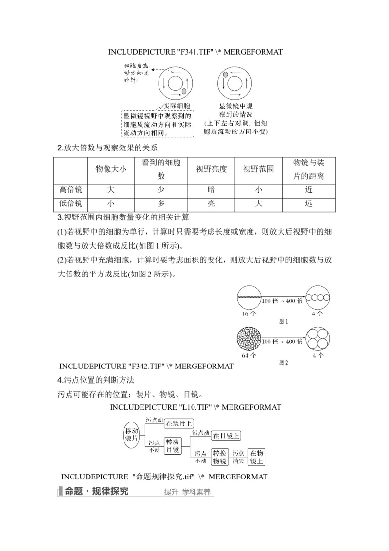 第1讲借助显微镜走近细胞_2024年新高考资料_1.2024一轮复习_2024年高考生物一轮复习讲义（新人教版）_另附1套Word版题库_必修1_第一单元组成细胞的分子