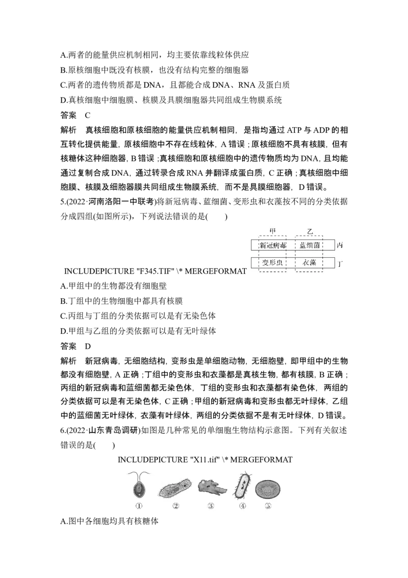 第1讲借助显微镜走近细胞_2024年新高考资料_1.2024一轮复习_2024年高考生物一轮复习讲义（新人教版）_另附1套Word版题库_必修1_第一单元组成细胞的分子