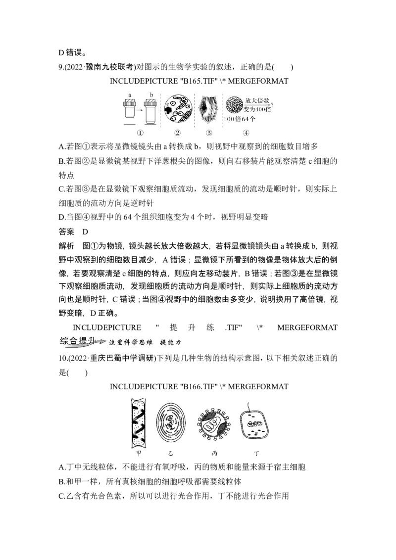 第1讲借助显微镜走近细胞_2024年新高考资料_1.2024一轮复习_2024年高考生物一轮复习讲义（新人教版）_另附1套Word版题库_必修1_第一单元组成细胞的分子