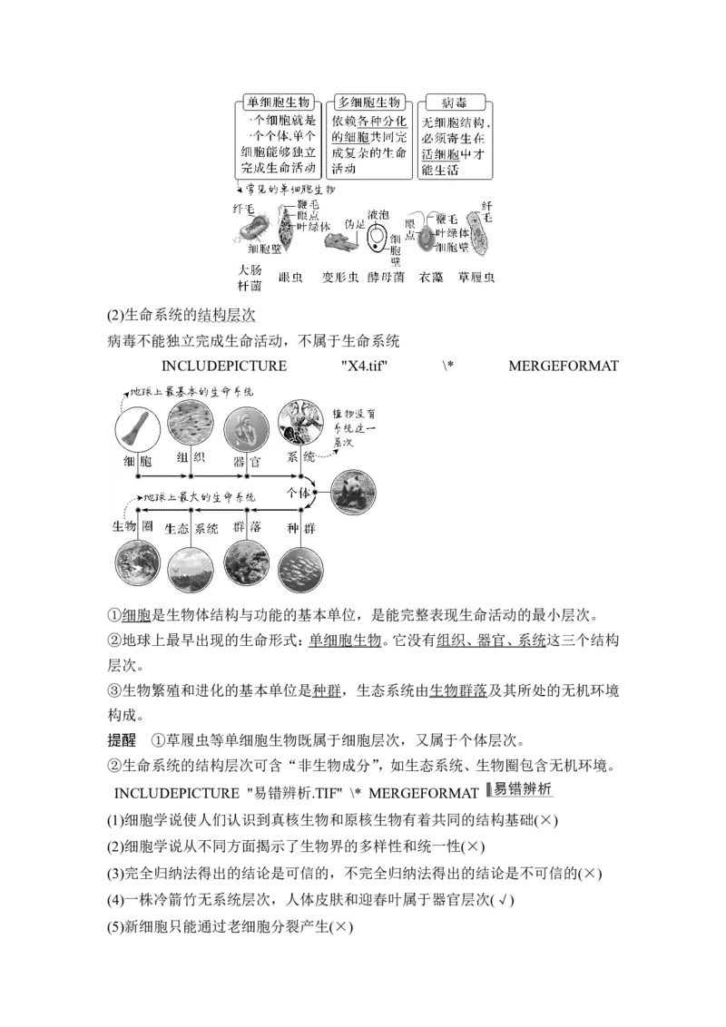 第1讲借助显微镜走近细胞_2024年新高考资料_1.2024一轮复习_2024年高考生物一轮复习讲义（新人教版）_另附1套Word版题库_必修1_第一单元组成细胞的分子