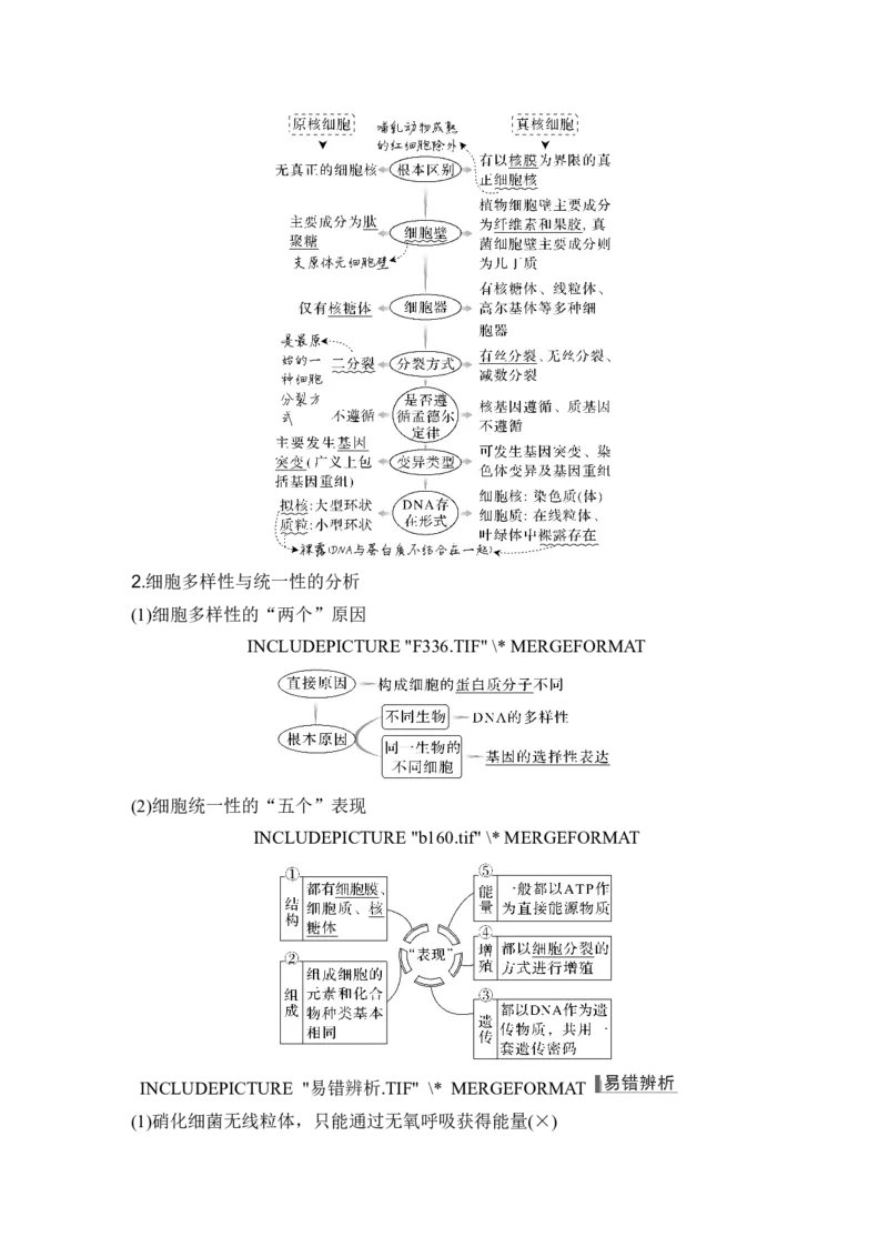 第1讲借助显微镜走近细胞_2024年新高考资料_1.2024一轮复习_2024年高考生物一轮复习讲义（新人教版）_另附1套Word版题库_必修1_第一单元组成细胞的分子