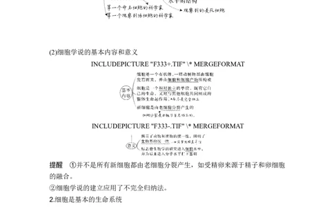第1讲借助显微镜走近细胞_2024年新高考资料_1.2024一轮复习_2024年高考生物一轮复习讲义（新人教版）_另附1套Word版题库_必修1_第一单元组成细胞的分子
