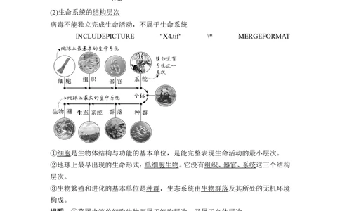 第1讲借助显微镜走近细胞_2024年新高考资料_1.2024一轮复习_2024年高考生物一轮复习讲义（新人教版）_另附1套Word版题库_必修1_第一单元组成细胞的分子