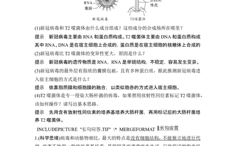 第1讲借助显微镜走近细胞_2024年新高考资料_1.2024一轮复习_2024年高考生物一轮复习讲义（新人教版）_另附1套Word版题库_必修1_第一单元组成细胞的分子