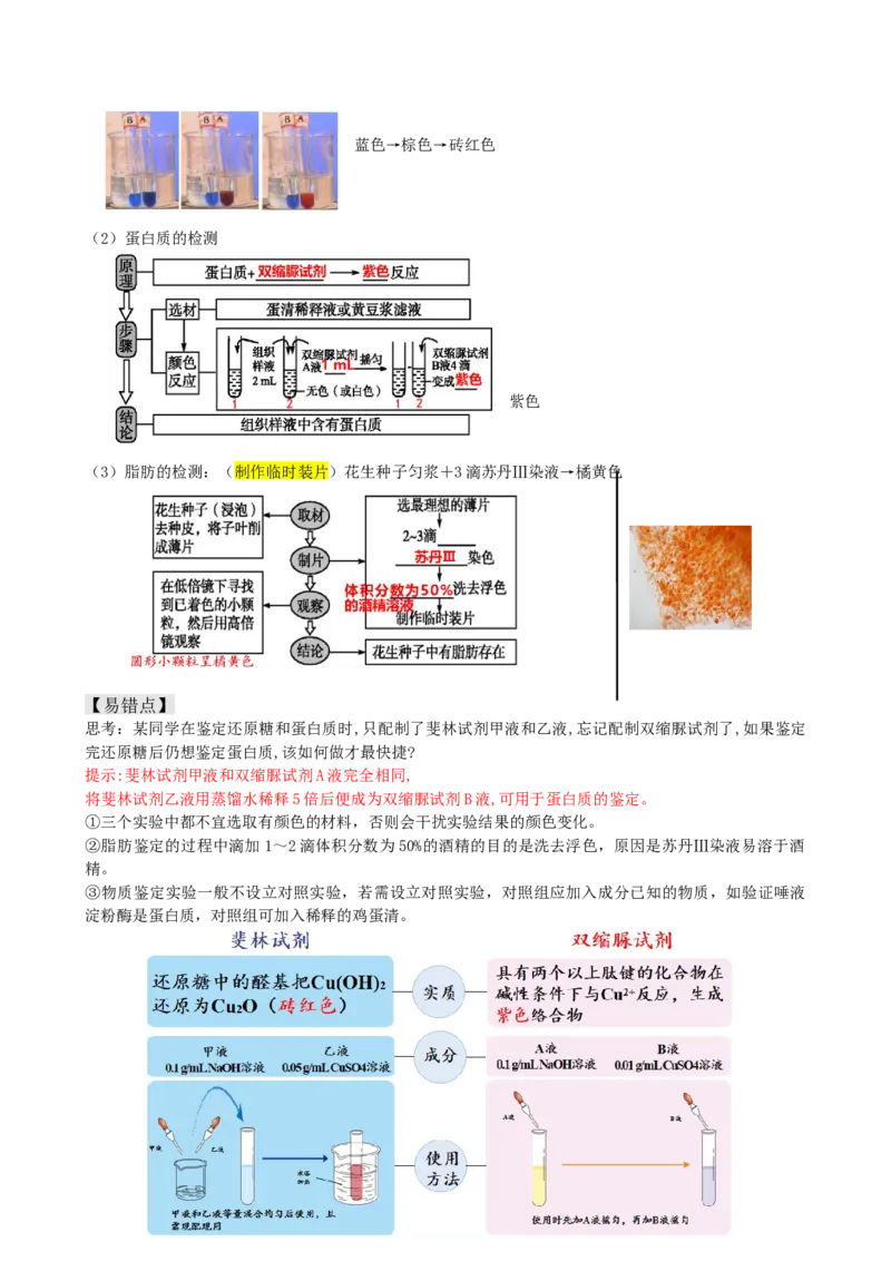 第2讲细胞中的元素和化合物（讲义）（教师版）_2024年新高考资料_1.2024一轮复习_2024年高考生物一轮复习讲练测（新教材新高考）