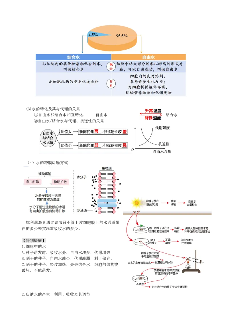 第2讲细胞中的元素和化合物（讲义）（教师版）_2024年新高考资料_1.2024一轮复习_2024年高考生物一轮复习讲练测（新教材新高考）