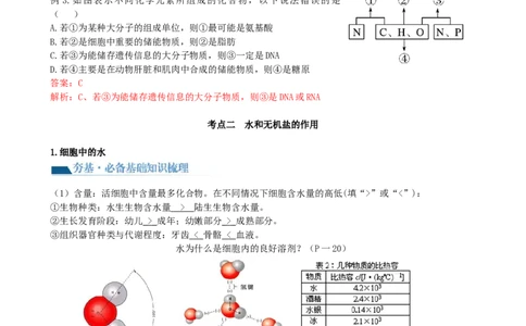 第2讲细胞中的元素和化合物（讲义）（教师版）_2024年新高考资料_1.2024一轮复习_2024年高考生物一轮复习讲练测（新教材新高考）