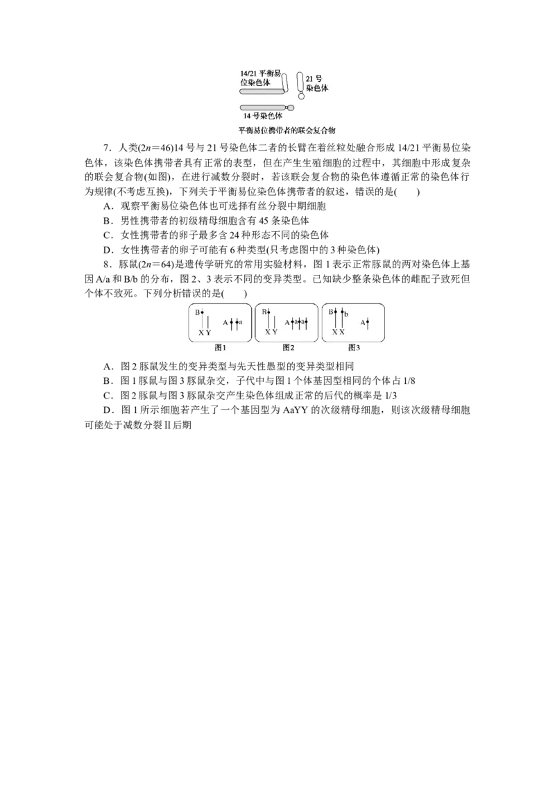 专练54　染色体变异_新高考复习资料_2023年新高考复习资料_专项复习_2023《微专题&middot;小练习》&middot;生物&middot;新教材&middot;XL-7