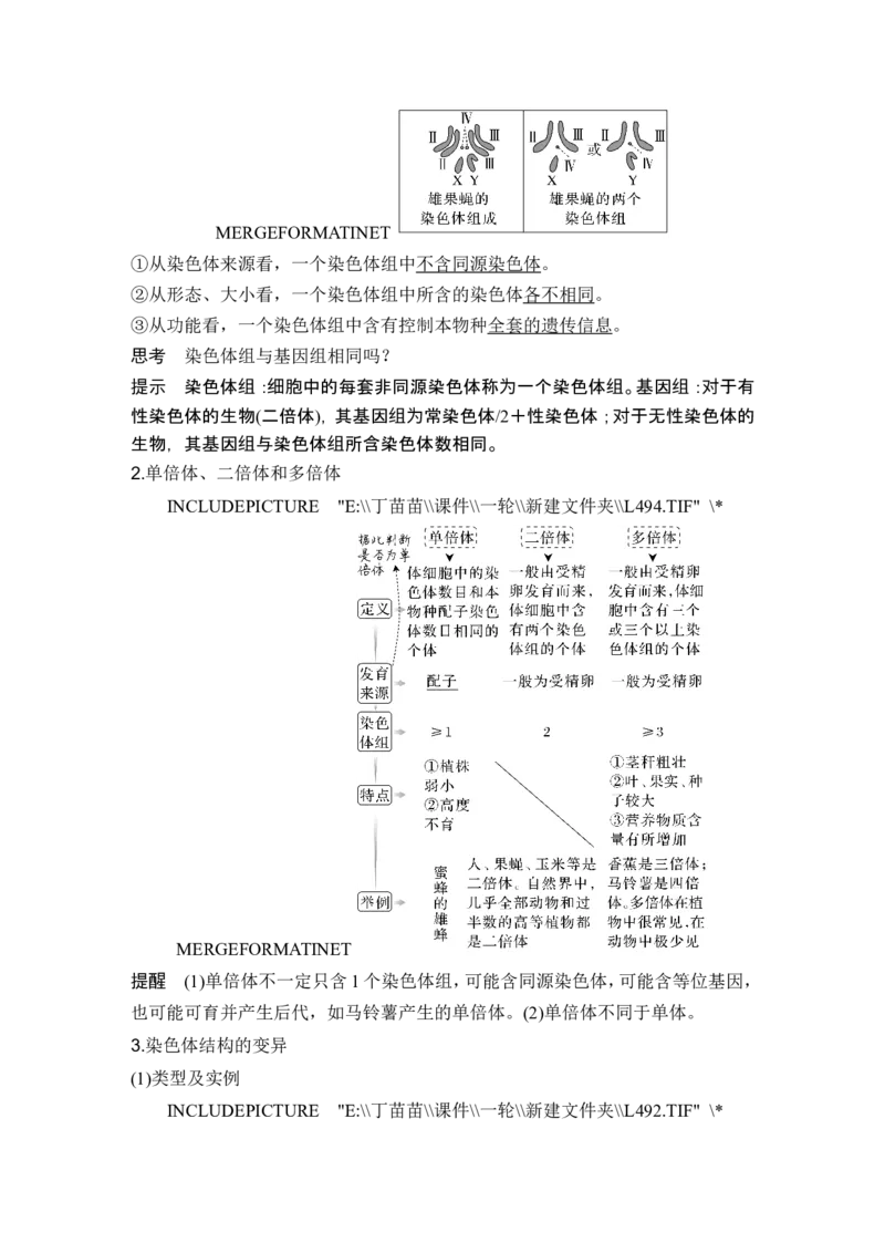 第20讲染色体变异_2024年新高考资料_1.2024一轮复习_2024年高考生物一轮复习讲义（新人教版）_另附1套Word版题库_必修2_第七单元生物的变异和进化