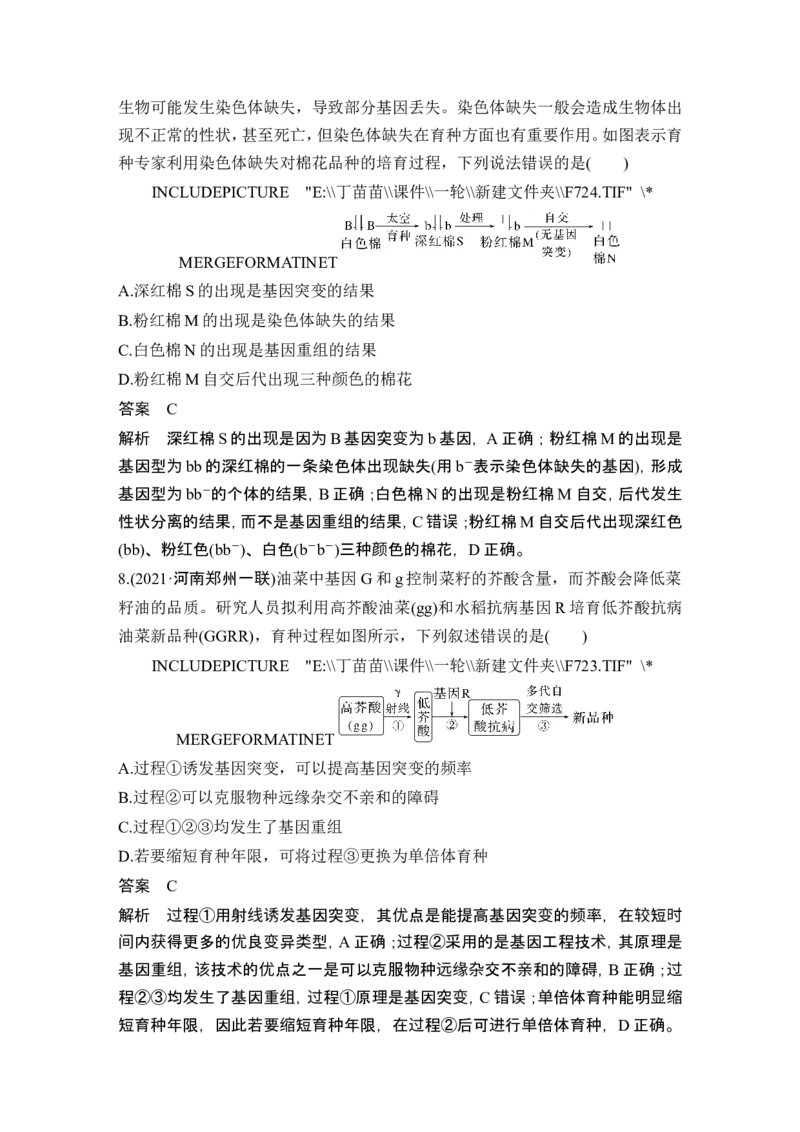 第20讲染色体变异_2024年新高考资料_1.2024一轮复习_2024年高考生物一轮复习讲义（新人教版）_另附1套Word版题库_必修2_第七单元生物的变异和进化