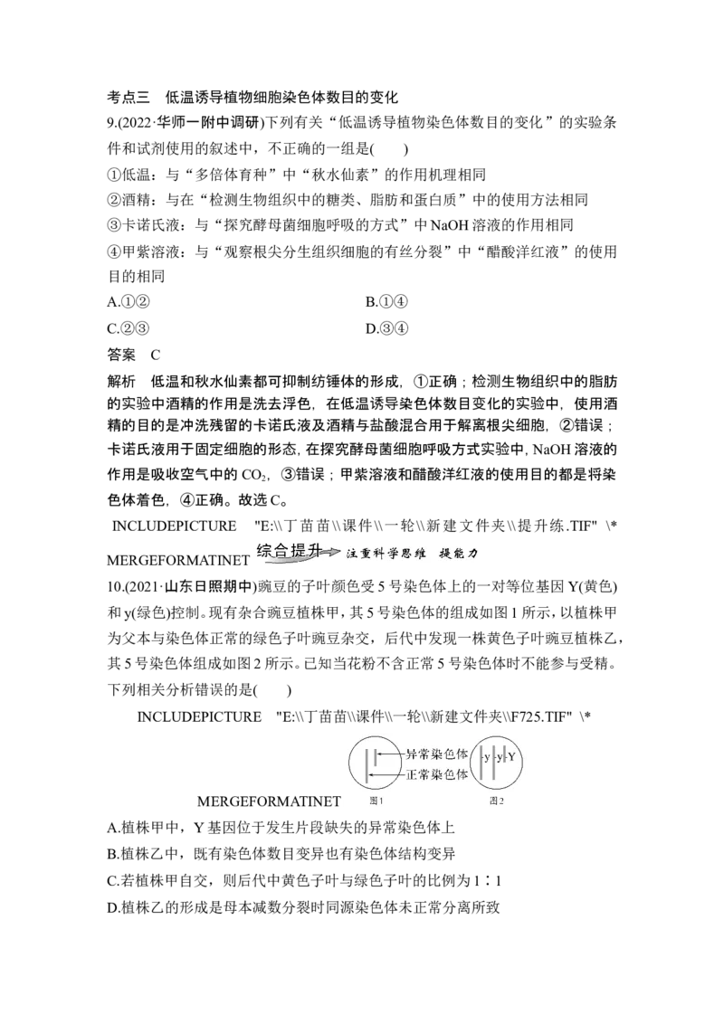 第20讲染色体变异_2024年新高考资料_1.2024一轮复习_2024年高考生物一轮复习讲义（新人教版）_另附1套Word版题库_必修2_第七单元生物的变异和进化