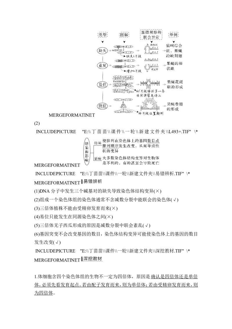 第20讲染色体变异_2024年新高考资料_1.2024一轮复习_2024年高考生物一轮复习讲义（新人教版）_另附1套Word版题库_必修2_第七单元生物的变异和进化