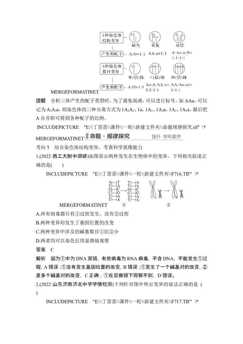 第20讲染色体变异_2024年新高考资料_1.2024一轮复习_2024年高考生物一轮复习讲义（新人教版）_另附1套Word版题库_必修2_第七单元生物的变异和进化