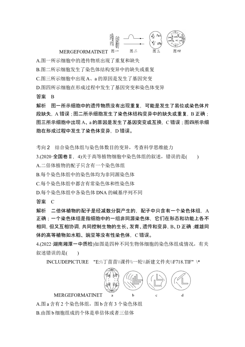 第20讲染色体变异_2024年新高考资料_1.2024一轮复习_2024年高考生物一轮复习讲义（新人教版）_另附1套Word版题库_必修2_第七单元生物的变异和进化
