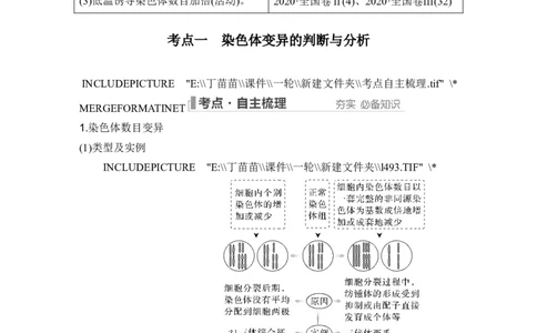 第20讲染色体变异_2024年新高考资料_1.2024一轮复习_2024年高考生物一轮复习讲义（新人教版）_另附1套Word版题库_必修2_第七单元生物的变异和进化