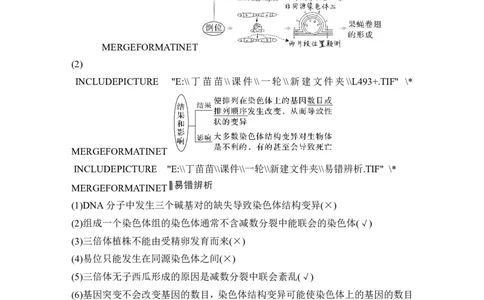 第20讲染色体变异_2024年新高考资料_1.2024一轮复习_2024年高考生物一轮复习讲义（新人教版）_另附1套Word版题库_必修2_第七单元生物的变异和进化