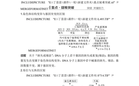 第20讲染色体变异_2024年新高考资料_1.2024一轮复习_2024年高考生物一轮复习讲义（新人教版）_另附1套Word版题库_必修2_第七单元生物的变异和进化