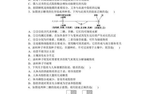 专练6　细胞中的糖类和脂质_通用版（老高考）复习资料_2023年复习资料_专项复习_2023《微专题&middot;小练习》&middot;生物