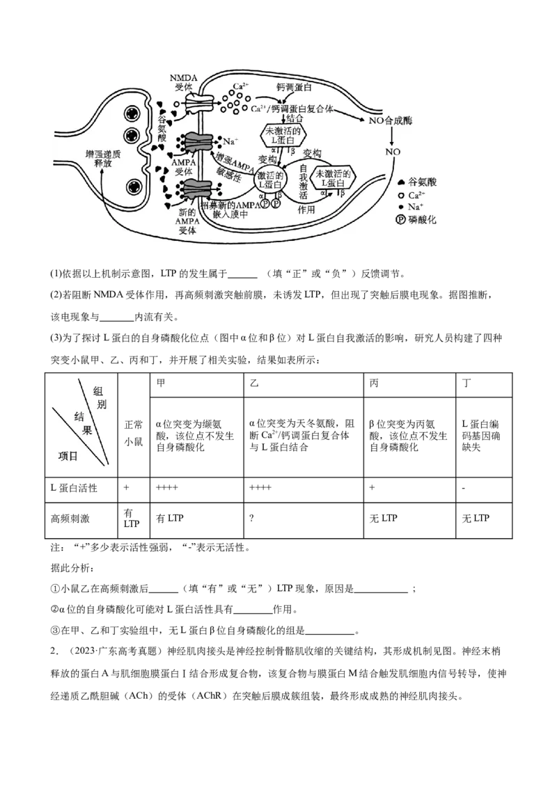 第19讲实验与探究（练习）（原卷版）_2024年新高考资料_2.2024二轮复习_2024年高考生物二轮复习讲练测（新教材新高考）