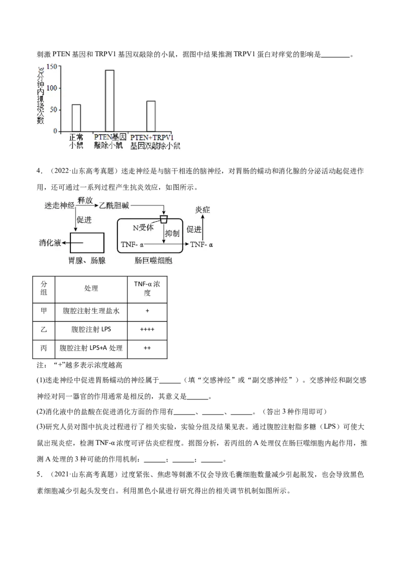 第19讲实验与探究（练习）（原卷版）_2024年新高考资料_2.2024二轮复习_2024年高考生物二轮复习讲练测（新教材新高考）