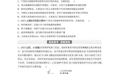 第3单元　第4课时　细胞呼吸的影响因素及其应用_2024年新高考资料_1.2024一轮复习_2024年高考生物一轮复习讲义（新人教版）_学生版在此文件夹_大一轮复习讲义