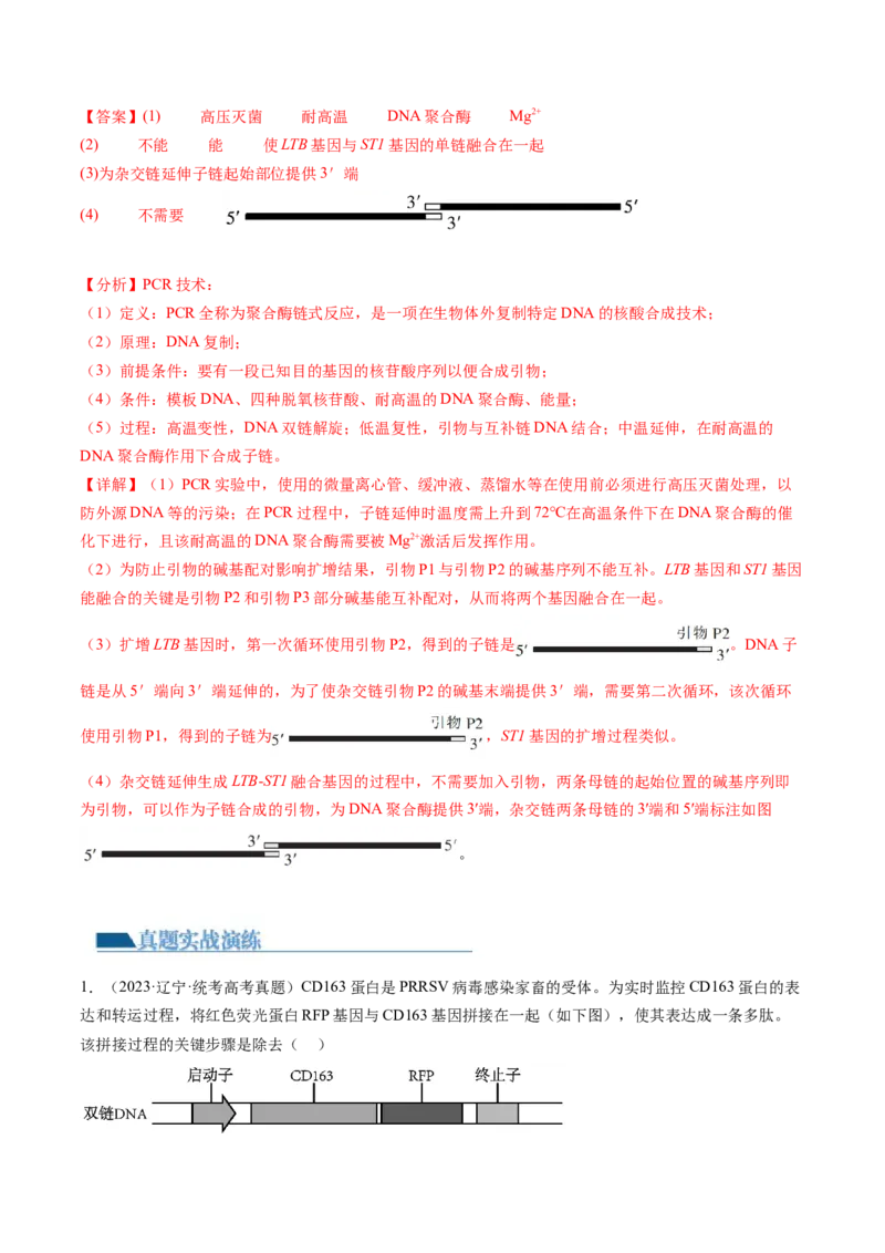 第43讲基因工程（练习）（解析版）_2024年新高考资料_1.2024一轮复习_2024年高考生物一轮复习讲练测（新教材新高考）