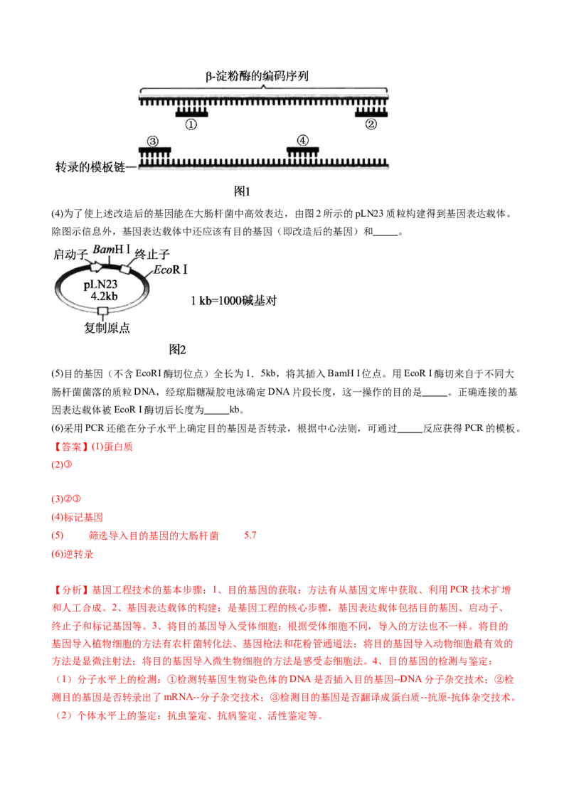 第43讲基因工程（练习）（解析版）_2024年新高考资料_1.2024一轮复习_2024年高考生物一轮复习讲练测（新教材新高考）