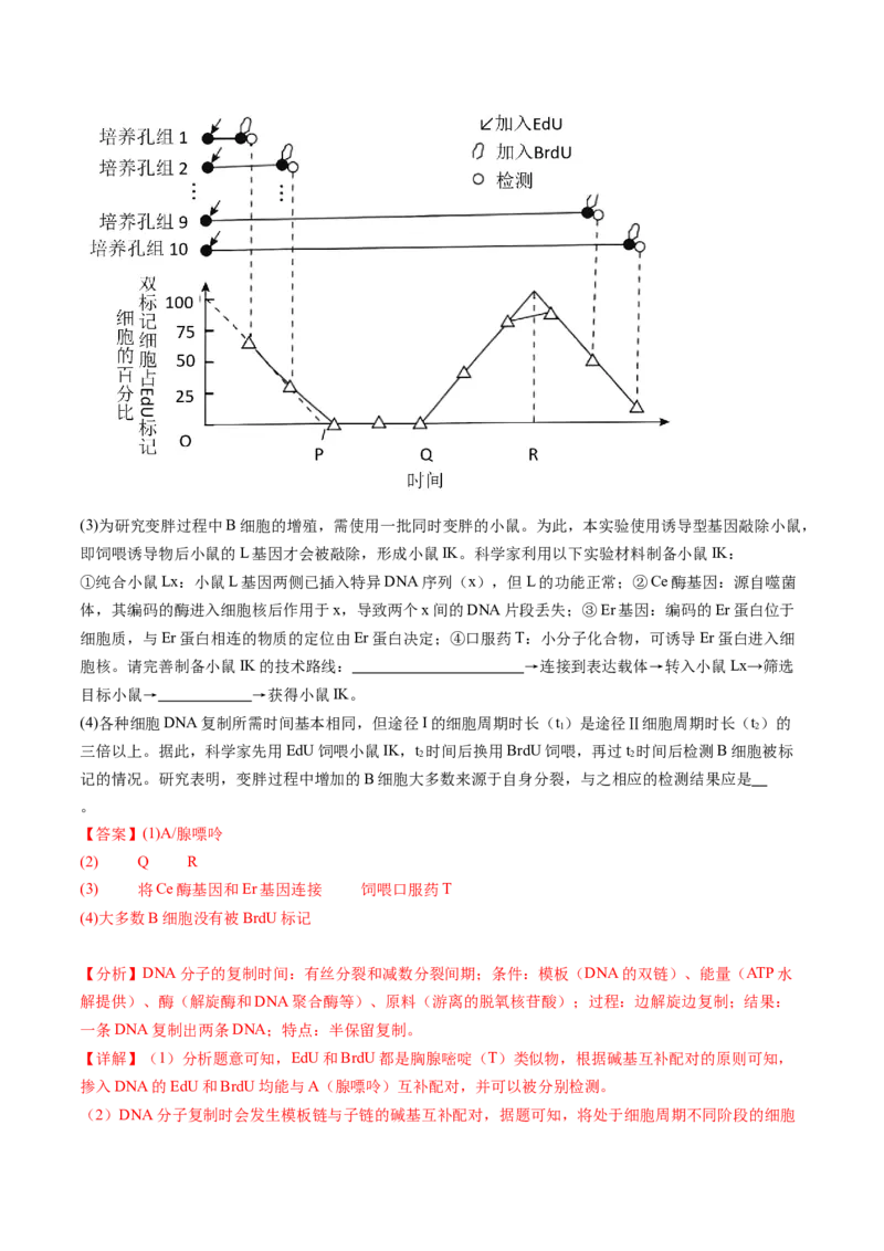 第43讲基因工程（练习）（解析版）_2024年新高考资料_1.2024一轮复习_2024年高考生物一轮复习讲练测（新教材新高考）