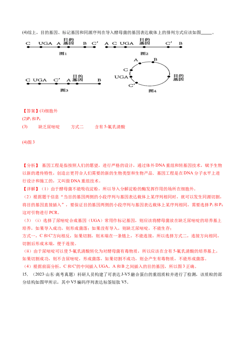 第43讲基因工程（练习）（解析版）_2024年新高考资料_1.2024一轮复习_2024年高考生物一轮复习讲练测（新教材新高考）