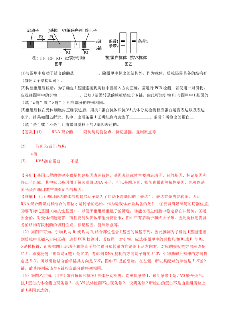 第43讲基因工程（练习）（解析版）_2024年新高考资料_1.2024一轮复习_2024年高考生物一轮复习讲练测（新教材新高考）