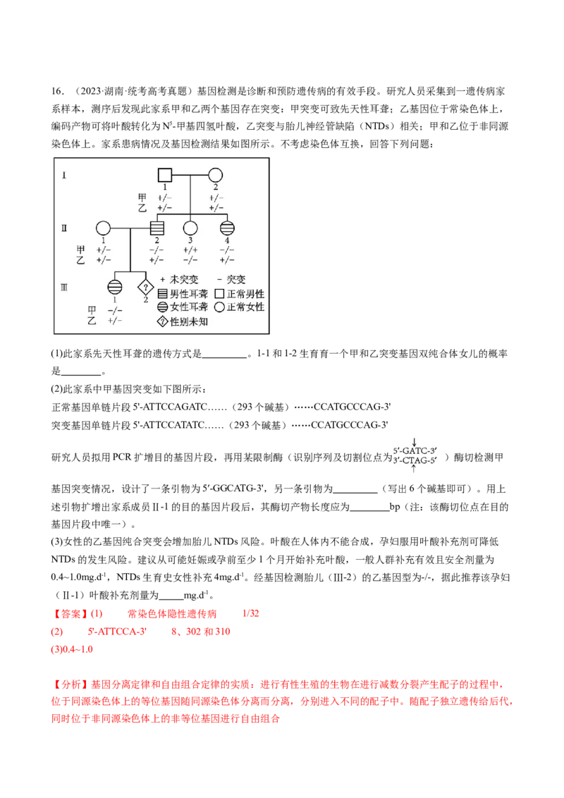 第43讲基因工程（练习）（解析版）_2024年新高考资料_1.2024一轮复习_2024年高考生物一轮复习讲练测（新教材新高考）