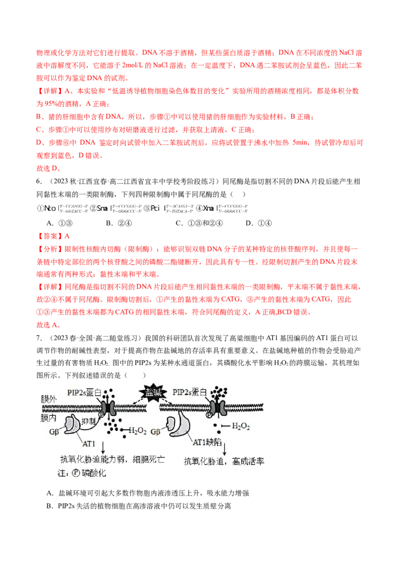 第43讲基因工程（练习）（解析版）_2024年新高考资料_1.2024一轮复习_2024年高考生物一轮复习讲练测（新教材新高考）