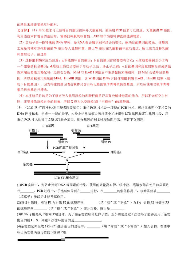 第43讲基因工程（练习）（解析版）_2024年新高考资料_1.2024一轮复习_2024年高考生物一轮复习讲练测（新教材新高考）
