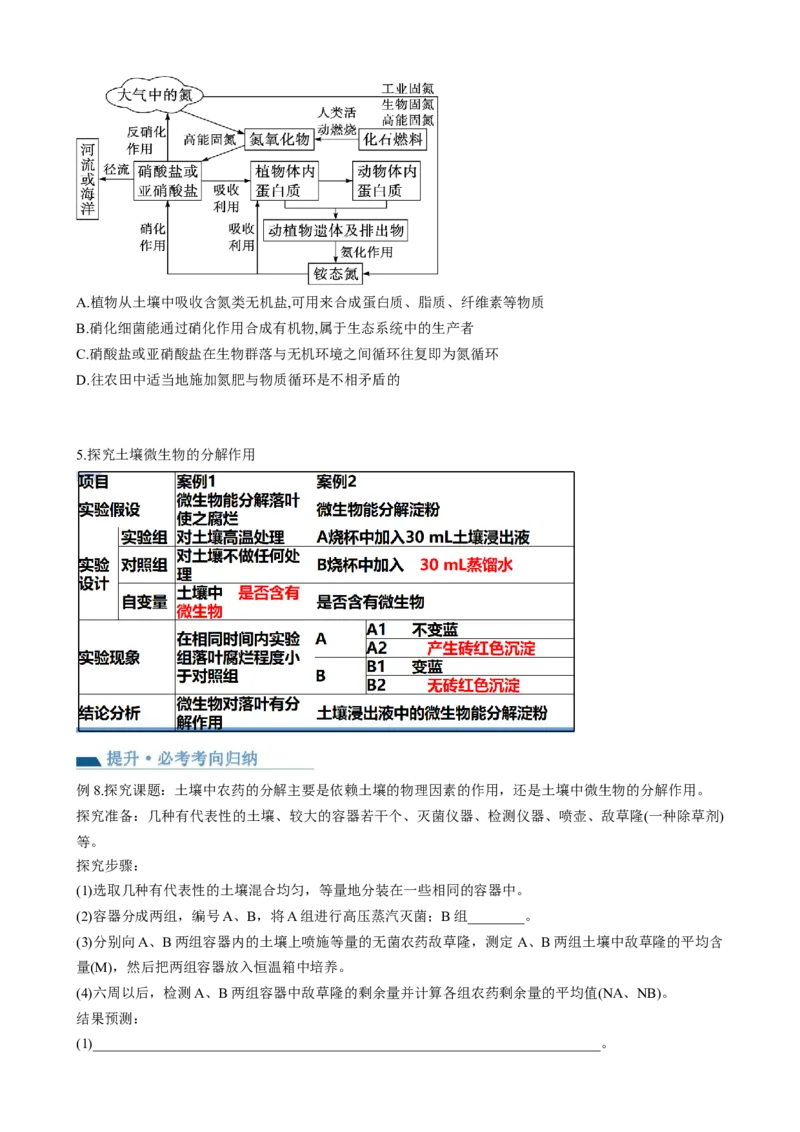 第36讲生态系统的功能（讲义）（学生版）_2024年新高考资料_1.2024一轮复习_2024年高考生物一轮复习讲练测（新教材新高考）