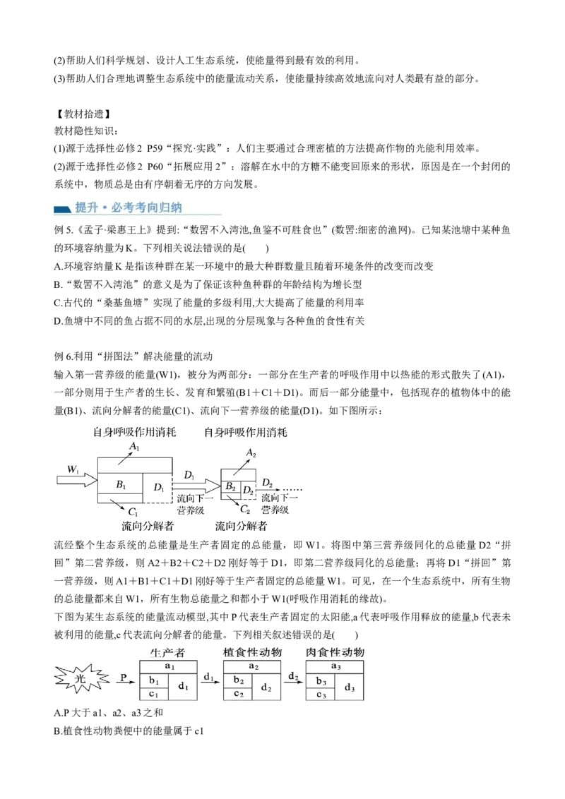 第36讲生态系统的功能（讲义）（学生版）_2024年新高考资料_1.2024一轮复习_2024年高考生物一轮复习讲练测（新教材新高考）
