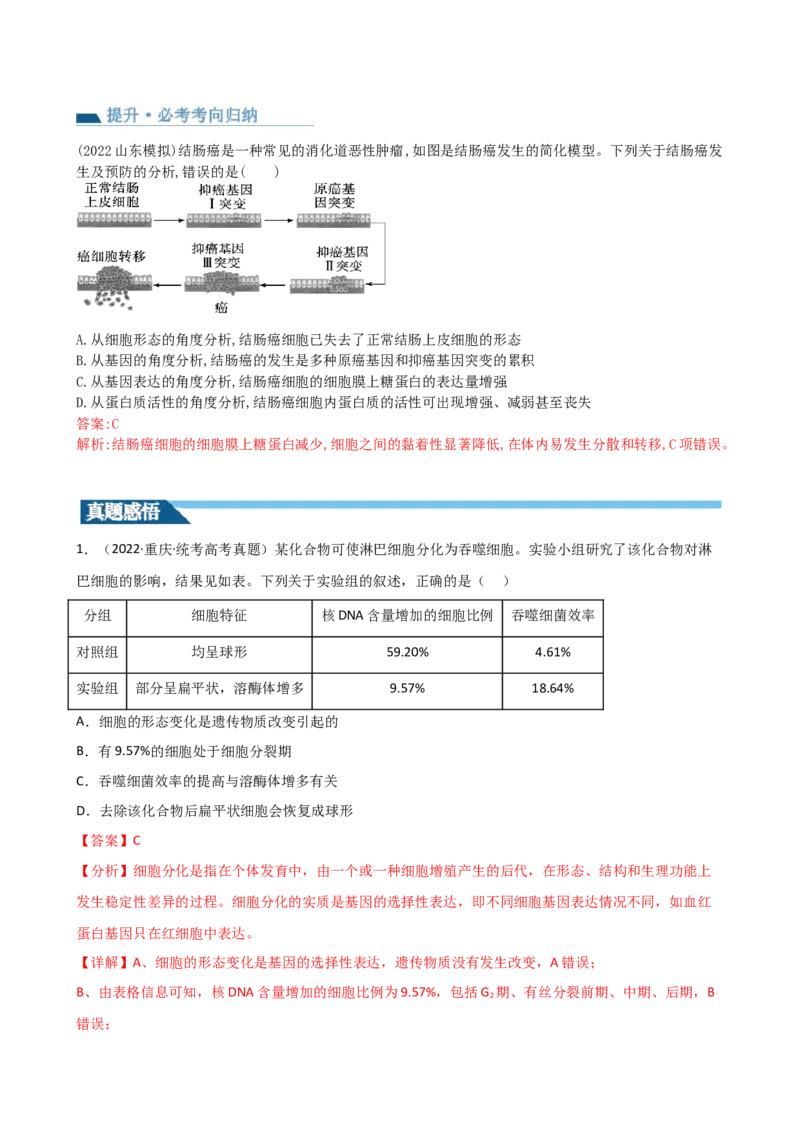 第14讲细胞的分化、衰老、死亡和癌变（讲义）（教师版）_2024年新高考资料_1.2024一轮复习_2024年高考生物一轮复习讲练测（新教材新高考）