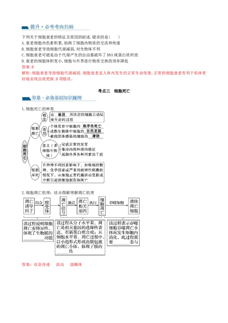 第14讲细胞的分化、衰老、死亡和癌变（讲义）（教师版）_2024年新高考资料_1.2024一轮复习_2024年高考生物一轮复习讲练测（新教材新高考）