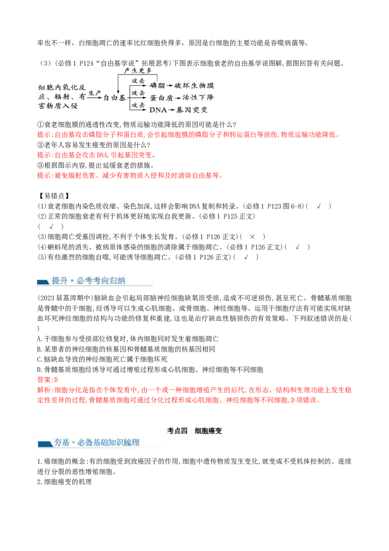 第14讲细胞的分化、衰老、死亡和癌变（讲义）（教师版）_2024年新高考资料_1.2024一轮复习_2024年高考生物一轮复习讲练测（新教材新高考）