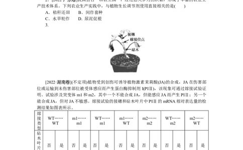专练70　其他植物激素_通用版（老高考）复习资料_2023年复习资料_专项复习_2023《微专题&middot;小练习》&middot;生物
