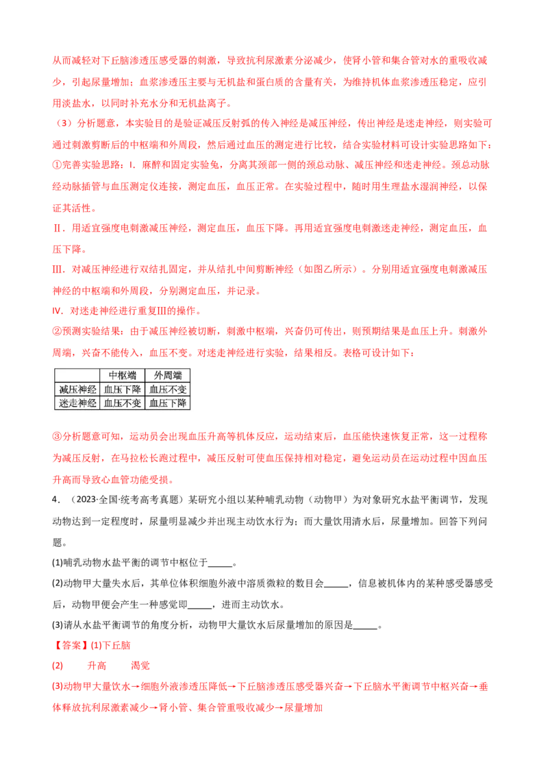 第31讲动物生命活动调节的综合分析（讲义）（教师版）_2024年新高考资料_1.2024一轮复习_2024年高考生物一轮复习讲练测（新教材新高考）