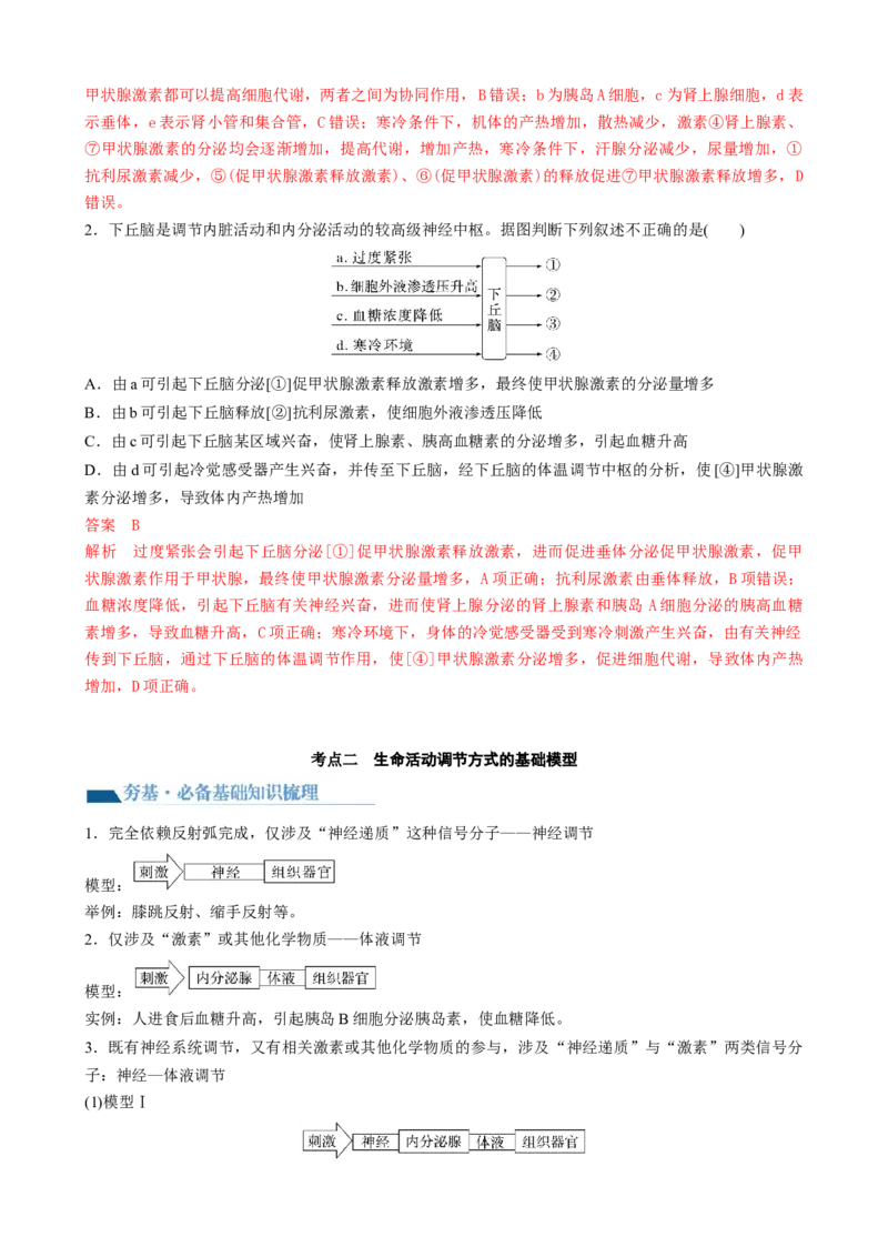 第31讲动物生命活动调节的综合分析（讲义）（教师版）_2024年新高考资料_1.2024一轮复习_2024年高考生物一轮复习讲练测（新教材新高考）