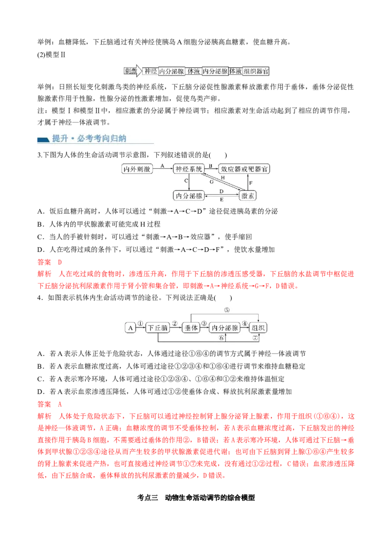 第31讲动物生命活动调节的综合分析（讲义）（教师版）_2024年新高考资料_1.2024一轮复习_2024年高考生物一轮复习讲练测（新教材新高考）