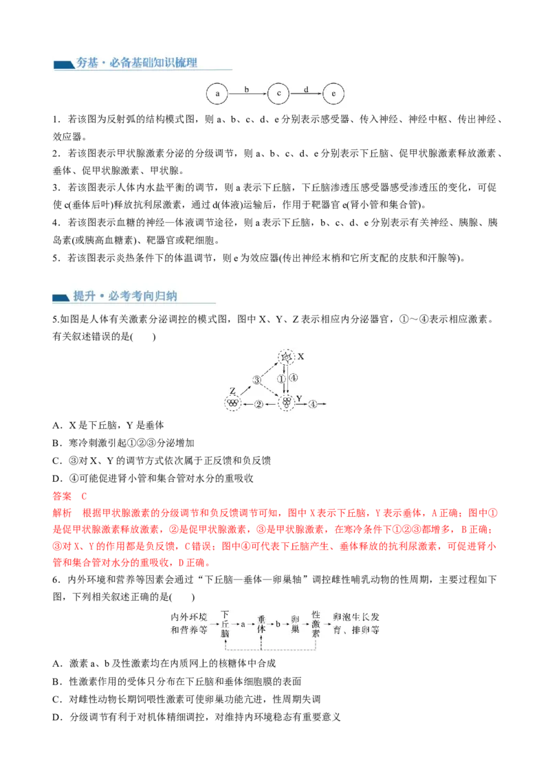 第31讲动物生命活动调节的综合分析（讲义）（教师版）_2024年新高考资料_1.2024一轮复习_2024年高考生物一轮复习讲练测（新教材新高考）