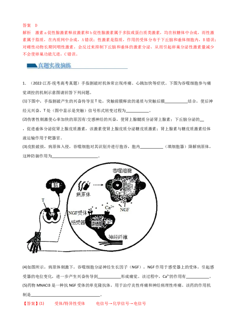 第31讲动物生命活动调节的综合分析（讲义）（教师版）_2024年新高考资料_1.2024一轮复习_2024年高考生物一轮复习讲练测（新教材新高考）