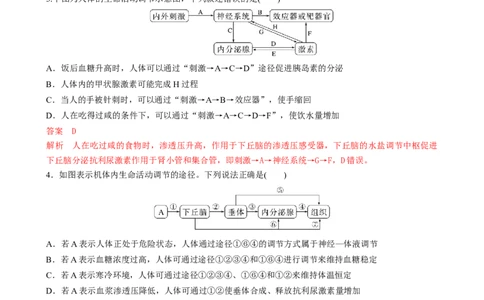 第31讲动物生命活动调节的综合分析（讲义）（教师版）_2024年新高考资料_1.2024一轮复习_2024年高考生物一轮复习讲练测（新教材新高考）