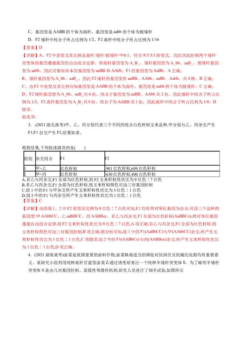 第17.1讲基因的自由组合定律（练习）（解析版）_2024年新高考资料_1.2024一轮复习_2024年高考生物一轮复习讲练测（新教材新高考）