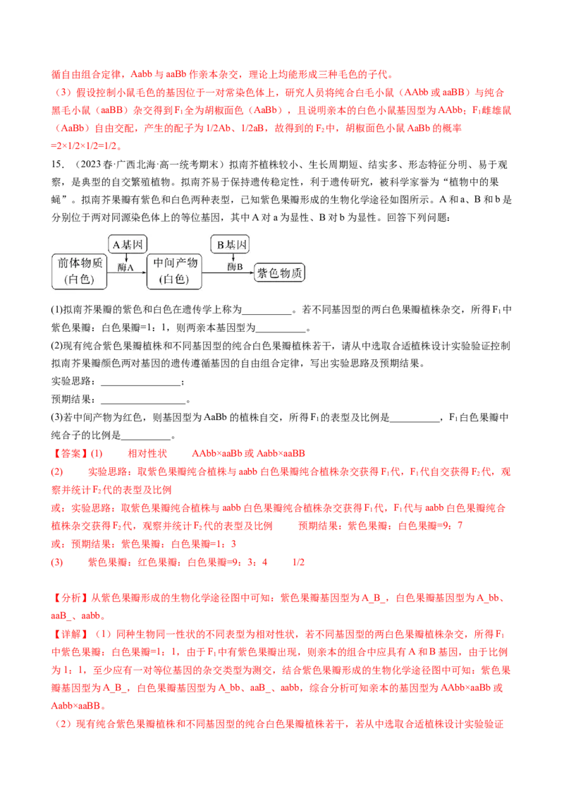 第17.1讲基因的自由组合定律（练习）（解析版）_2024年新高考资料_1.2024一轮复习_2024年高考生物一轮复习讲练测（新教材新高考）