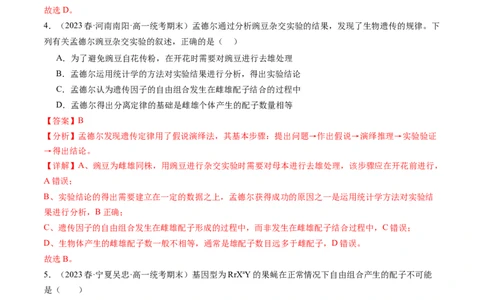 第17.1讲基因的自由组合定律（练习）（解析版）_2024年新高考资料_1.2024一轮复习_2024年高考生物一轮复习讲练测（新教材新高考）