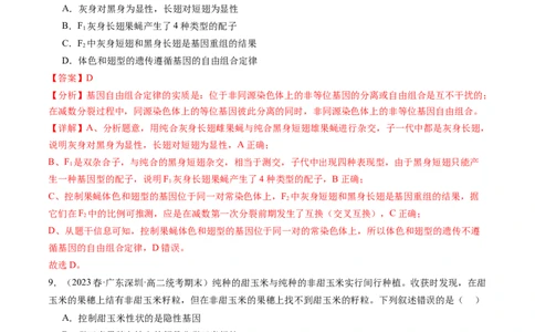 第17.1讲基因的自由组合定律（练习）（解析版）_2024年新高考资料_1.2024一轮复习_2024年高考生物一轮复习讲练测（新教材新高考）